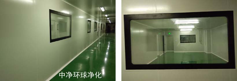 GMP車(chē)間純化水的制備